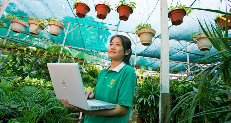 ICT for Productivity and Growth (IPG) Programme